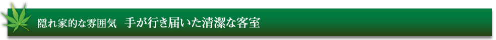 隠れ家的な雰囲気  手が行き届いた清潔な客室