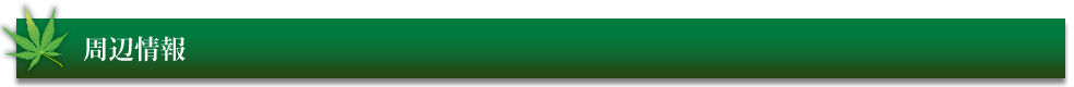 周辺情報